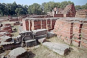 The archeologica excavations of the site of Sarnath 